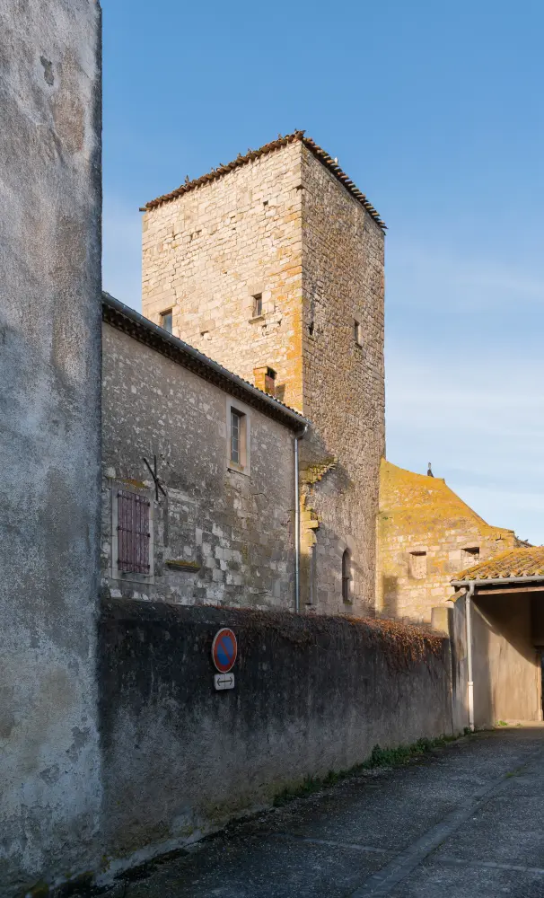 Foto di Abate - Sous licence Creative Commons (https://creativecommons.org/licenses/by-sa/4.0/deed.fr) - Par Tournasol7 - © Creative Commons (https://creativecommons.org/licenses/by-sa/4.0/deed.fr)