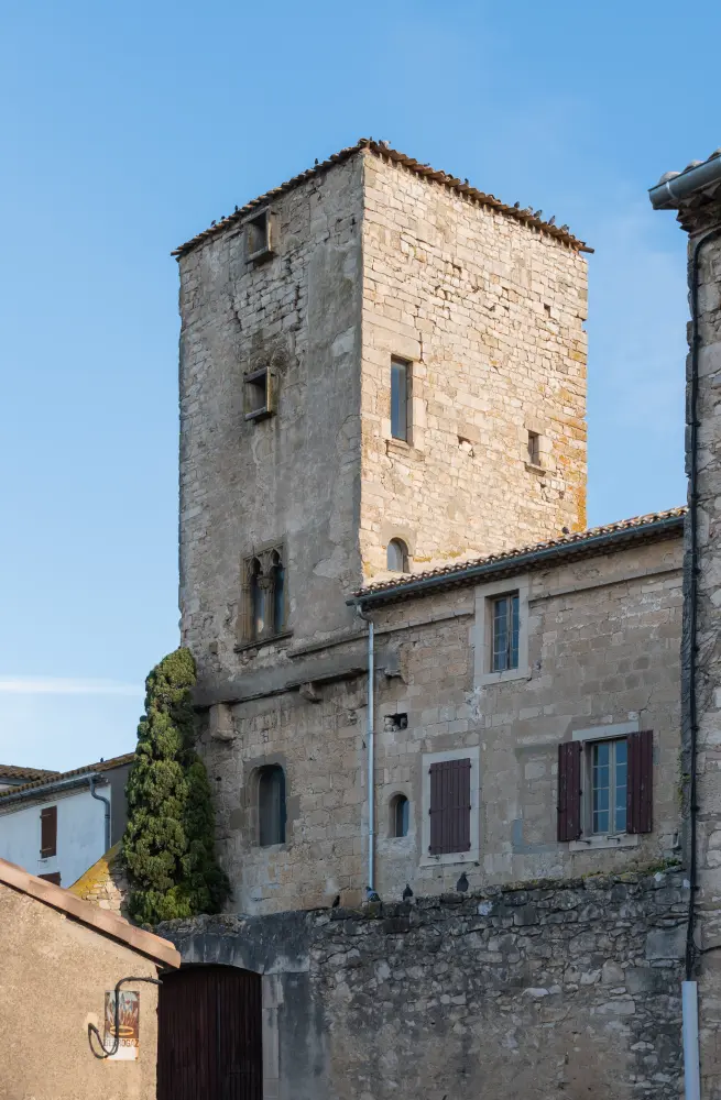Foto di Abate - Sous licence Creative Commons (https://creativecommons.org/licenses/by-sa/4.0/deed.fr) - Par Tournasol7 - © Creative Commons (https://creativecommons.org/licenses/by-sa/4.0/deed.fr)
