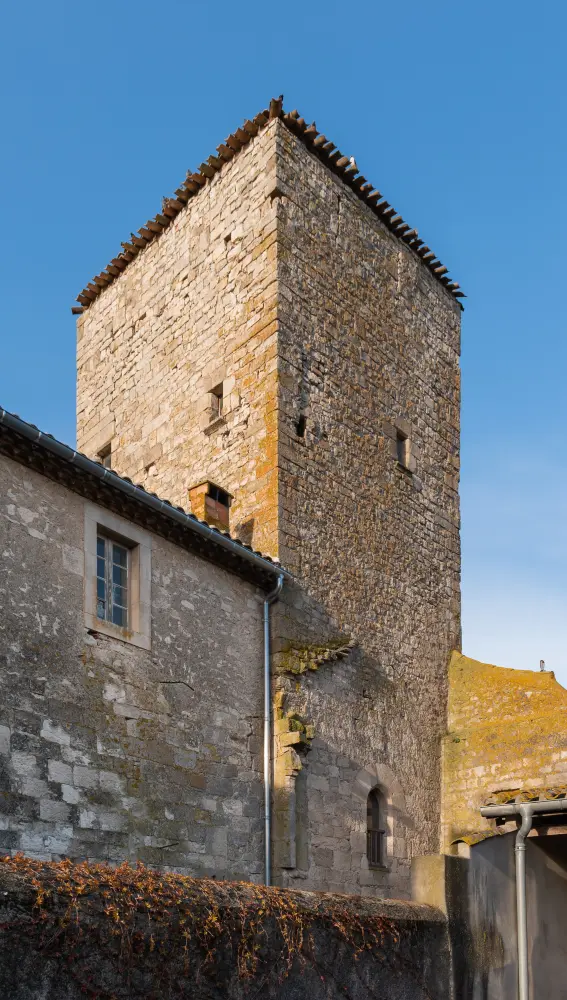 Foto di Abate - Sous licence Creative Commons (https://creativecommons.org/licenses/by-sa/4.0/deed.fr) - Par Tournasol7 - © Creative Commons (https://creativecommons.org/licenses/by-sa/4.0/deed.fr)