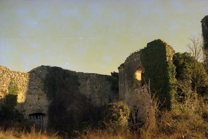 Foto de Ruinas del castillo - POP Plateforme Ouverte du Patrimoine / Base Mérimée - © Monuments historiques