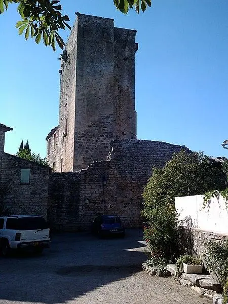 Foto di Rovine del castello - Ledom05 - © Creative Commons (https://creativecommons.org/licenses/by-sa/4.0/deed.fr)
