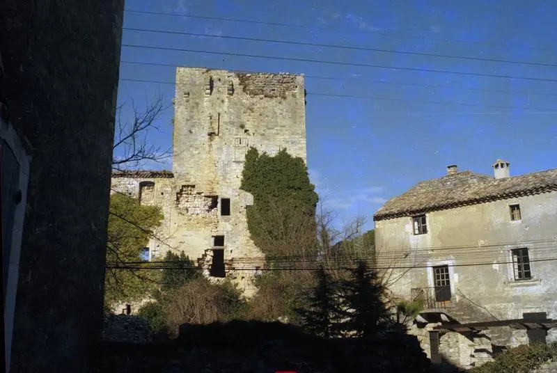 Foto de Ruinas del castillo - POP Plateforme Ouverte du Patrimoine / Base Mérimée - © Monuments historiques