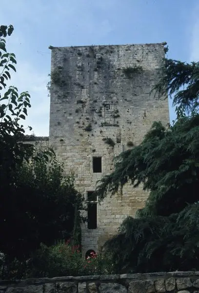 Foto de Ruinas del castillo - POP Plateforme Ouverte du Patrimoine / Base Mérimée - © Monuments historiques