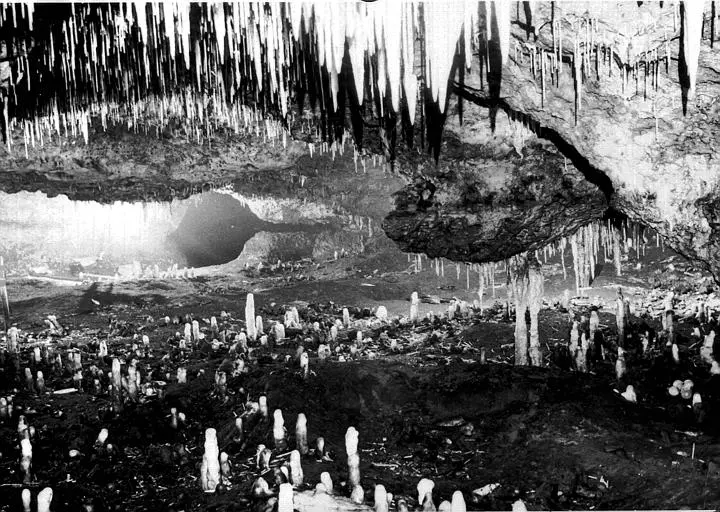 Foto di Grotta preistorica di Pas-de-Joulié (parte) - POP Plateforme Ouverte du Patrimoine / Base Mérimée - © Ministère de la Culture (France), Médiathèque du patrimoine et de la photographie, diffusion RMN-GP