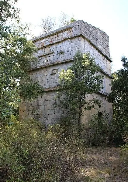 Foto de Enchufe - Lothur - © Creative Commons (https://creativecommons.org/licenses/by-sa/4.0/deed.fr)