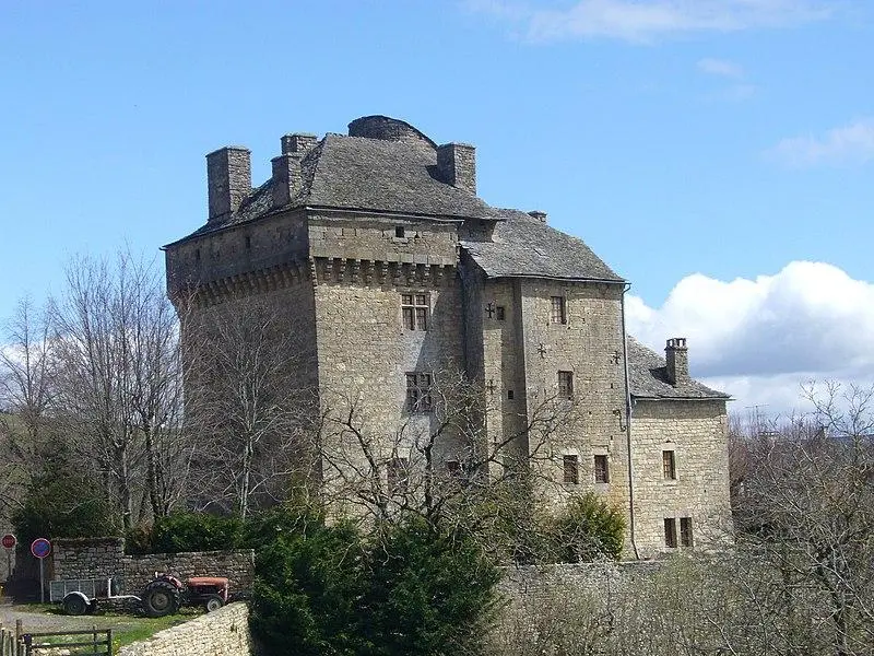 Foto von Montjèzieu Castle - Sanguinez - © Creative Commons (https://creativecommons.org/licenses/by-sa/4.0/deed.fr)