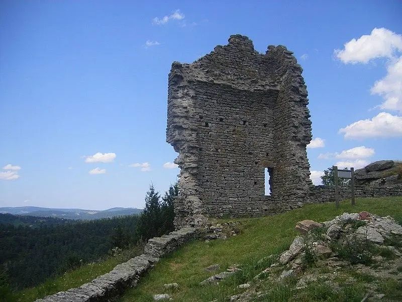Foto de Ruinas del castillo - Szeder László - © Creative Commons (https://creativecommons.org/licenses/by-sa/4.0/deed.fr)