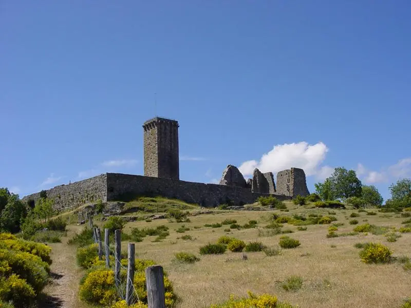 Picture of Guard of the Guerin castle - Association garde - © Creative Commons (https://creativecommons.org/licenses/by-sa/4.0/deed.fr)