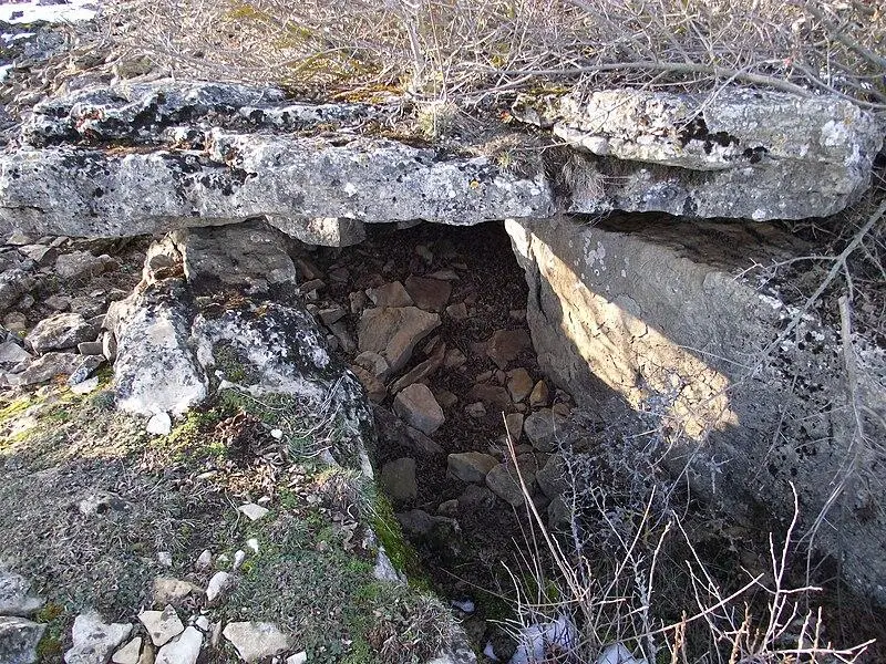 Photo de Site mégalithique du plateau de Poujoulet (également sur commune de Montrodat) - Jmp48 - © Creative Commons (https://creativecommons.org/licenses/by-sa/4.0/deed.fr)