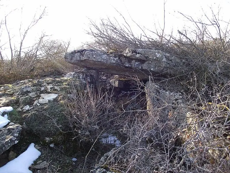 Foto von Megalithic Stätte des Poujoulet -Plateaus (auch in der Gemeinde Marvejols) - Jmp48 - © Creative Commons (https://creativecommons.org/licenses/by-sa/4.0/deed.fr)