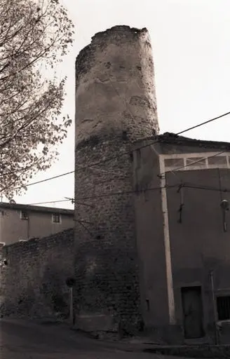 Foto von Ehemaliges Schloss der Zählungen von Conflent Cengagne - POP Plateforme Ouverte du Patrimoine / Base Mérimée - © Monuments historiques