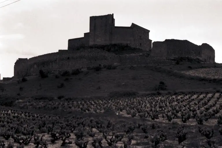 Foto von Überreste des Schlosses und befestigte Gehäuse - POP Plateforme Ouverte du Patrimoine / Base Mérimée - © Monuments historiques
