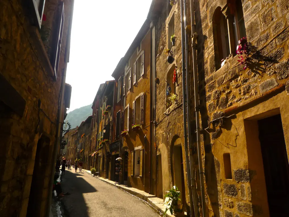 Foto von So -genannt Säugling - Sous licence Creative Commons (https://creativecommons.org/licenses/by-sa/4.0/deed.fr) - Par Jordi Roqué - © Creative Commons (https://creativecommons.org/licenses/by-sa/4.0/deed.fr)