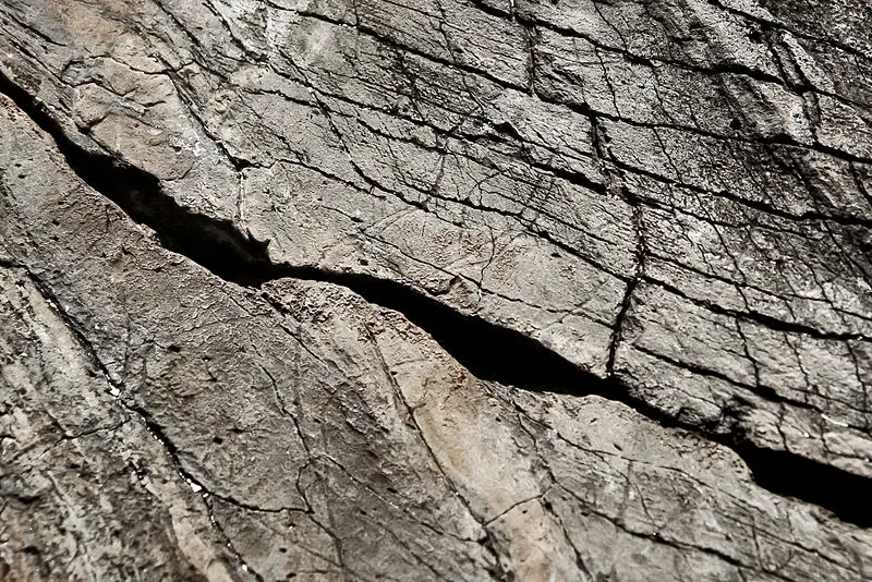 Foto di Roccia incisa con Fornols - Meria z Geoian - © Creative Commons (https://creativecommons.org/licenses/by-sa/4.0/deed.fr)