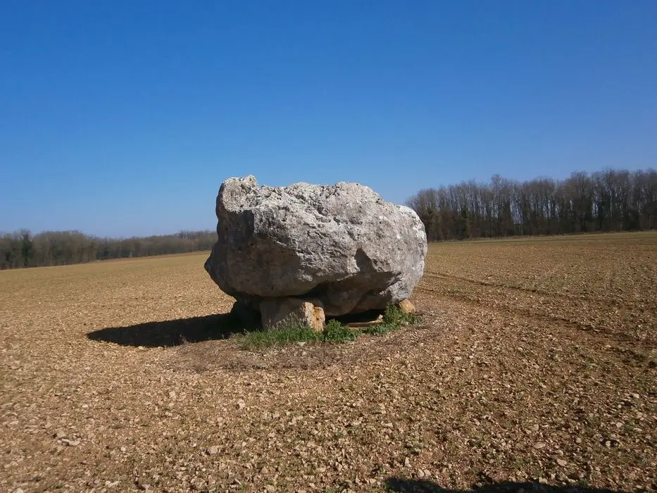 Foto von Dolmen - POP Plateforme Ouverte du Patrimoine / Base Mérimée - © Ministère de la Culture (France), Direction Régionale des Affaires Culturelles de Nouvelle-Aquitaine – Tous droits réservés 