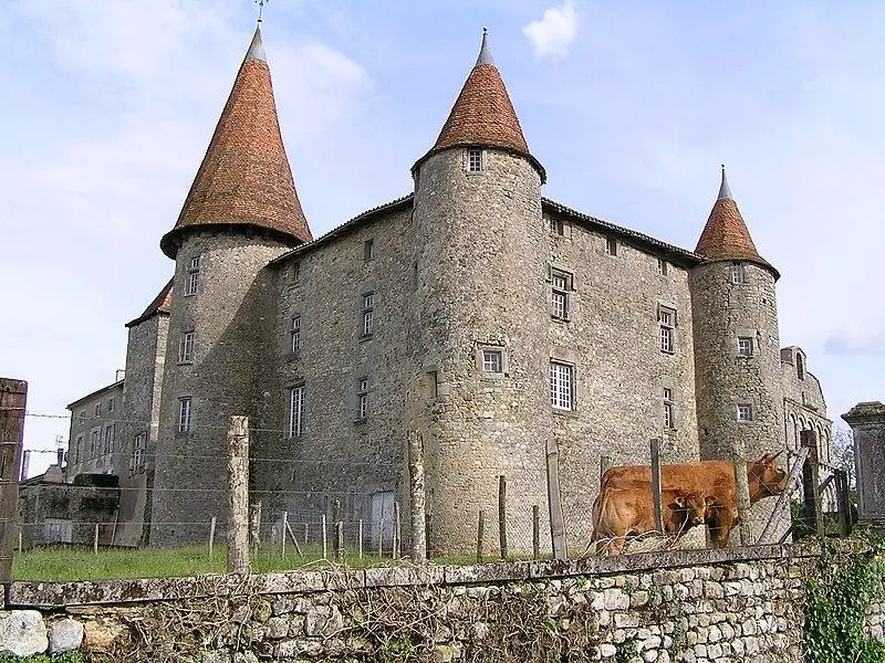 Picture of Castle - rosier - © Creative Commons (https://creativecommons.org/licenses/by-sa/4.0/deed.fr)