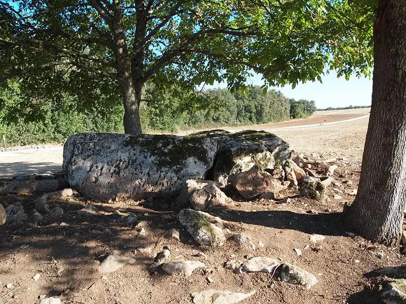 Picture of Dolmen of the House of the Old - Rosier - © Creative Commons (https://creativecommons.org/licenses/by-sa/4.0/deed.fr)