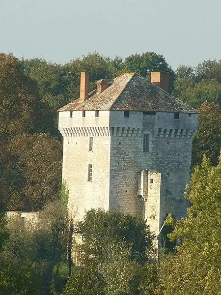 Picture of Château des Pins - Jack ma - © Creative Commons (https://creativecommons.org/licenses/by-sa/4.0/deed.fr)