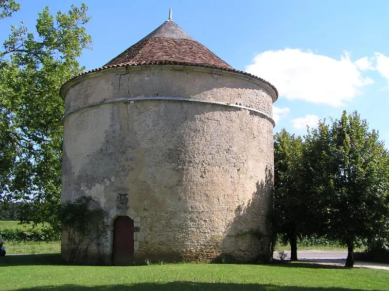 Picture of Gardépée home - rosier - © Creative Commons (https://creativecommons.org/licenses/by-sa/4.0/deed.fr)