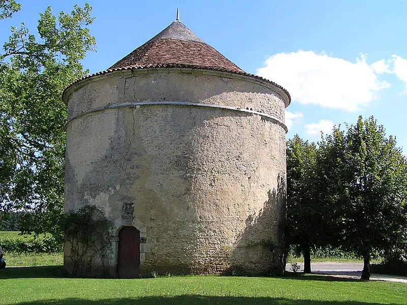 Picture of Gardépée home - rosier - © Creative Commons (https://creativecommons.org/licenses/by-sa/4.0/deed.fr)