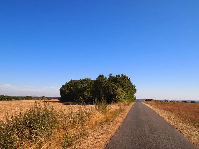 Foto di Tumulus dice Old Breuil - Rosier - © Creative Commons (https://creativecommons.org/licenses/by-sa/4.0/deed.fr)