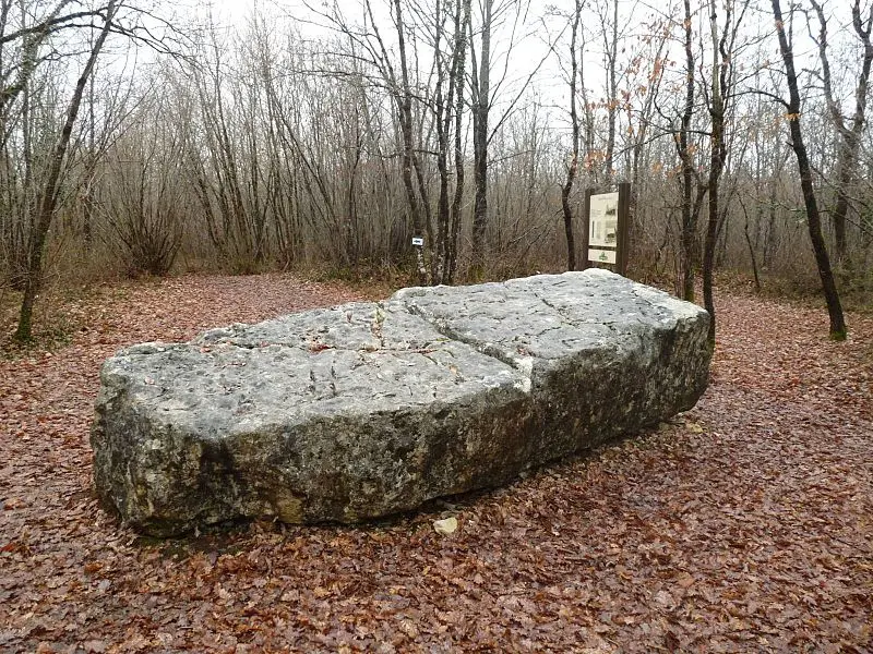 Foto de Dolmen dice del Boix - Jack ma - © Creative Commons (https://creativecommons.org/licenses/by-sa/4.0/deed.fr)