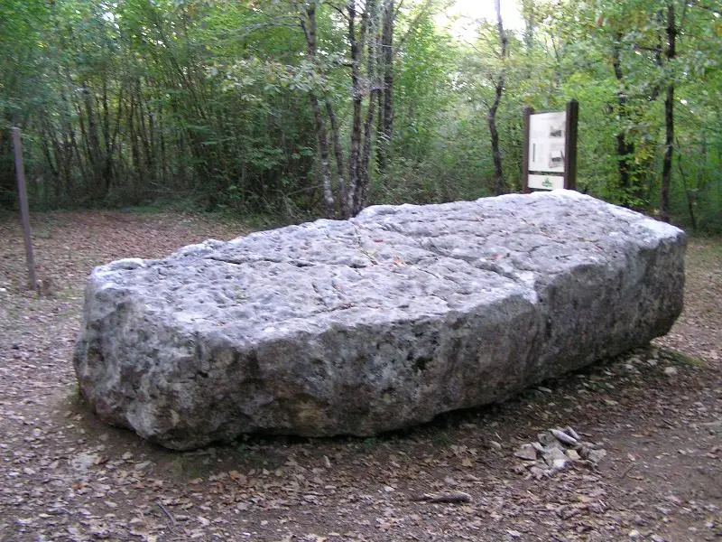Foto de Dolmen dice del Boix - rosier - © Creative Commons (https://creativecommons.org/licenses/by-sa/4.0/deed.fr)