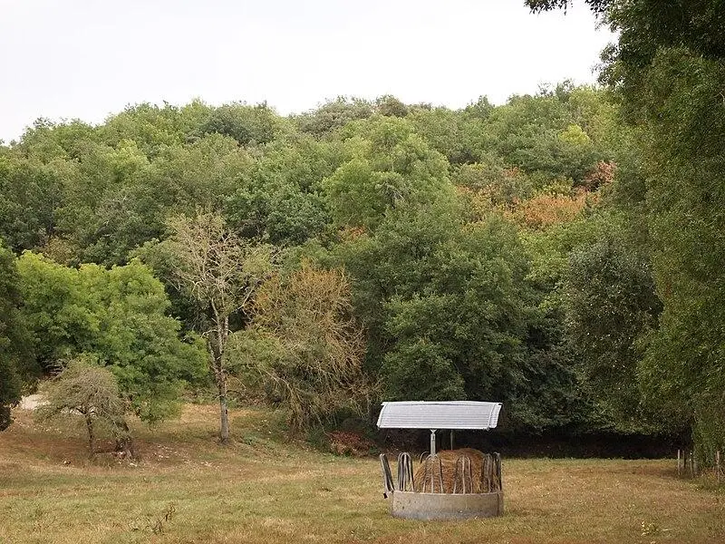 Picture of Set of deposits - Rosier - © Creative Commons (https://creativecommons.org/licenses/by-sa/4.0/deed.fr)