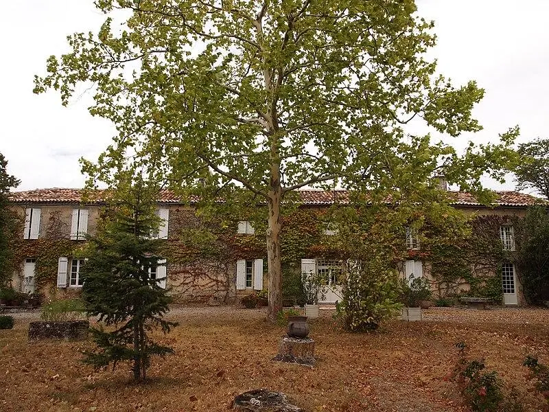 Foto von Forstdomäne - Rosier - © Creative Commons (https://creativecommons.org/licenses/by-sa/4.0/deed.fr)