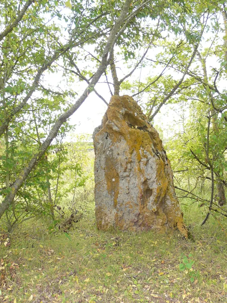 Picture of Cromlech - Sous licence Creative Commons (https://creativecommons.org/licenses/by-sa/4.0/deed.fr) - Par JacquesLavignotte - © Creative Commons (https://creativecommons.org/licenses/by-sa/4.0/deed.fr)