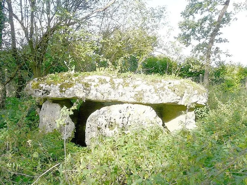 Picture of Laverré dolmen - JacquesLavignotte - © Creative Commons (https://creativecommons.org/licenses/by-sa/4.0/deed.fr)