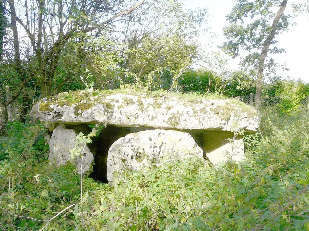 Picture of Laverré dolmen - Sous licence Creative Commons (https://creativecommons.org/licenses/by-sa/4.0/deed.fr) - Par JacquesLavignotte - © Creative Commons (https://creativecommons.org/licenses/by-sa/4.0/deed.fr)