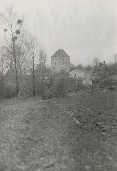 Foto di Dungeon of the Rigodière - POP Plateforme Ouverte du Patrimoine / Base Mérimée - © Ministère de la Culture (France), Médiathèque du patrimoine et de la photographie, tous droits réservés