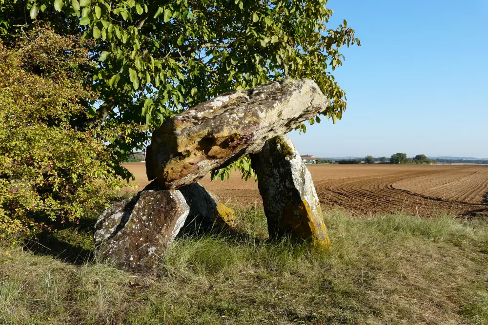Picture of Dolmen of Fontenaille - Sous licence Creative Commons (https://creativecommons.org/licenses/by-sa/4.0/deed.fr) - Par JacquesLavignotte - © Creative Commons (https://creativecommons.org/licenses/by-sa/4.0/deed.fr)