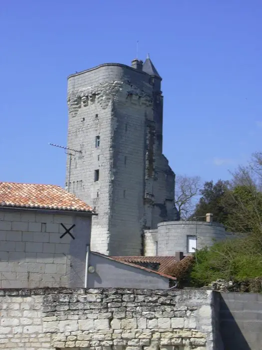 Picture of Dungeon - POP Plateforme Ouverte du Patrimoine / Base Mérimée - © Ministère de la Culture (France), Médiathèque du patrimoine et de la photographie, diffusion RMN-GP