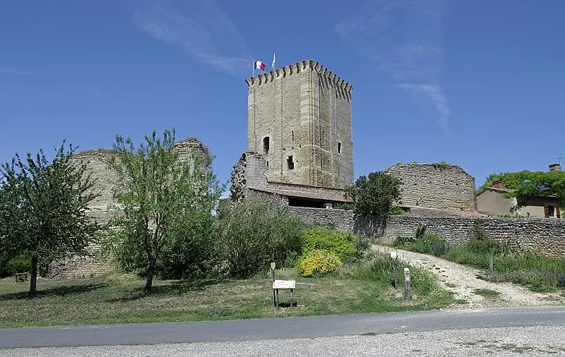 Picture of Castle and Notre-Dame church - Daniel Jolivet - © Creative Commons (https://creativecommons.org/licenses/by-sa/4.0/deed.fr)