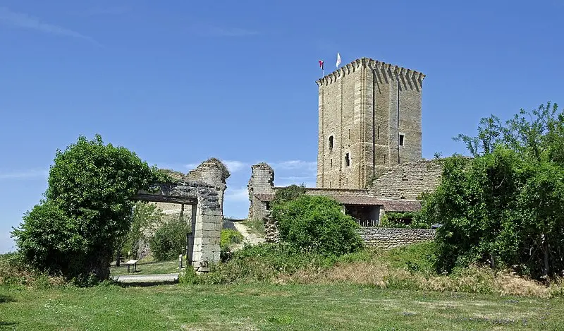 Picture of Castle and Notre-Dame church - Daniel Jolivet - © Creative Commons (https://creativecommons.org/licenses/by-sa/4.0/deed.fr)