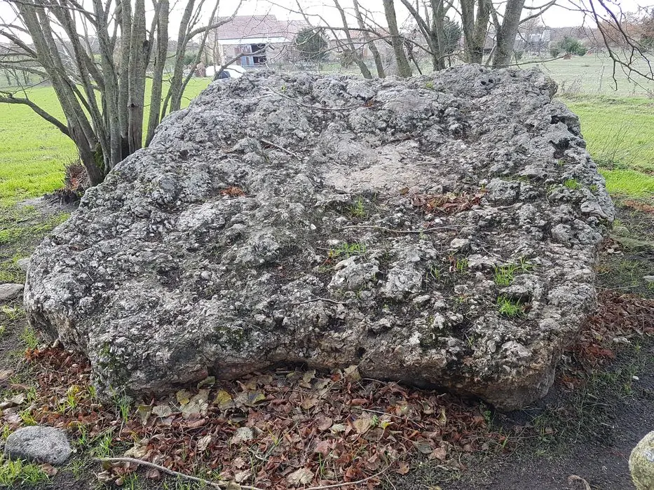 Foto di Dolmen - POP Plateforme Ouverte du Patrimoine / Base Mérimée - © Ministère de la Culture (France), Direction Régionale des Affaires Culturelles de Nouvelle-Aquitaine – Tous droits réservés 
