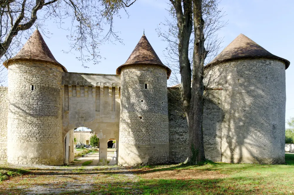 Foto di Castello di Furigny - Sous licence Creative Commons (https://creativecommons.org/licenses/by-sa/4.0/deed.fr) - Par Romain le Malin - © Creative Commons (https://creativecommons.org/licenses/by-sa/4.0/deed.fr)