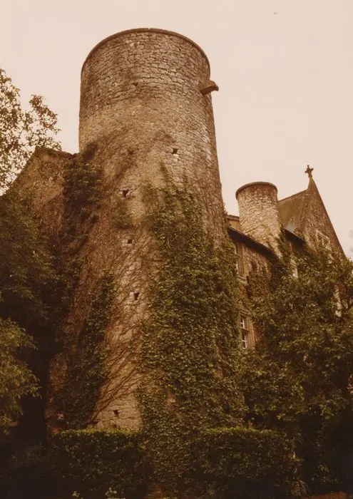Picture of Mothe castle - POP Plateforme Ouverte du Patrimoine / Base Mérimée - © Ministère de la Culture (France), Médiathèque du patrimoine et de la photographie, tous droits réservés