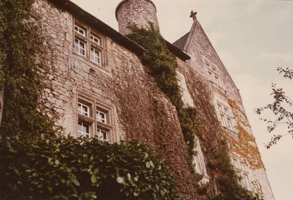 Picture of Mothe castle - POP Plateforme Ouverte du Patrimoine / Base Mérimée - © Ministère de la Culture (France), Médiathèque du patrimoine et de la photographie, tous droits réservés