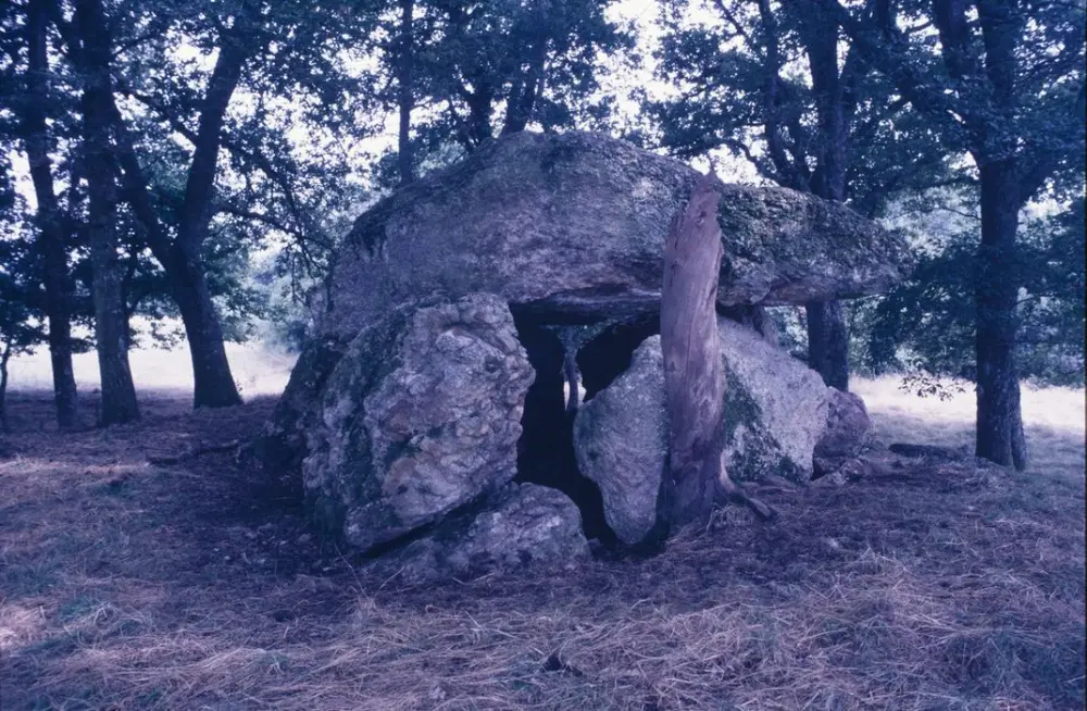 Photo de Dolmen de Chiroux dit La Pierre-Levée et son tumulus - POP Plateforme Ouverte du Patrimoine / Base Mérimée - © Ministère de la Culture (France), Direction Régionale des Affaires Culturelles de Nouvelle-Aquitaine – Tous droits réservés 