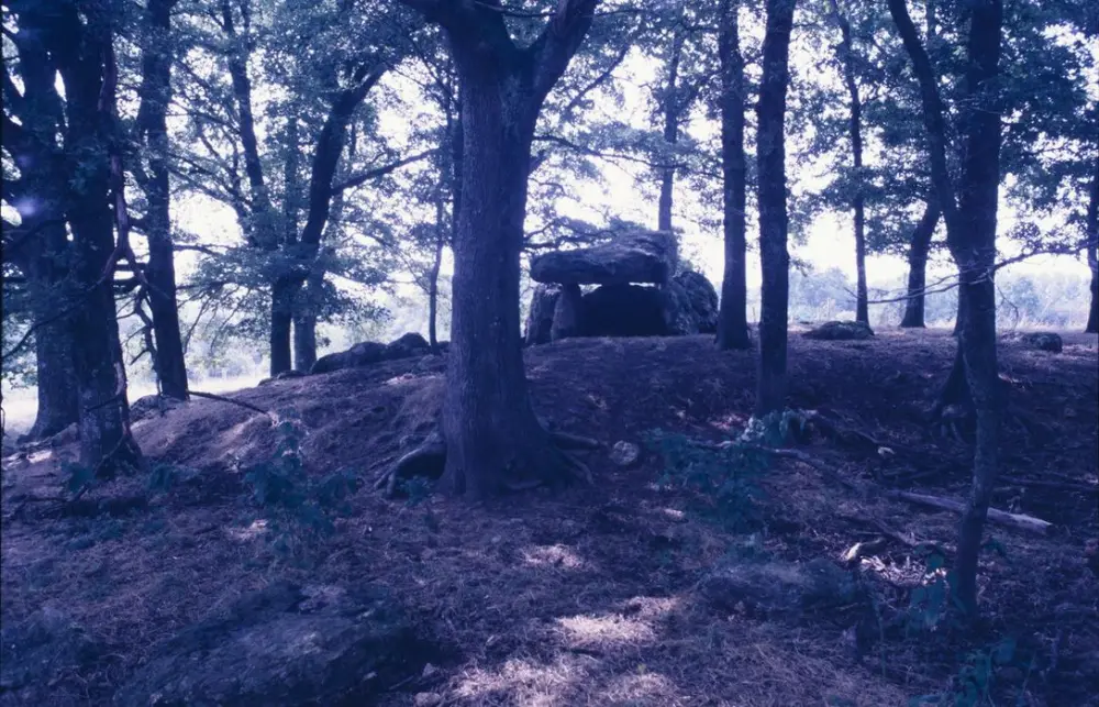 Photo de Dolmen de Chiroux dit La Pierre-Levée et son tumulus - POP Plateforme Ouverte du Patrimoine / Base Mérimée - © Ministère de la Culture (France), Direction Régionale des Affaires Culturelles de Nouvelle-Aquitaine – Tous droits réservés 