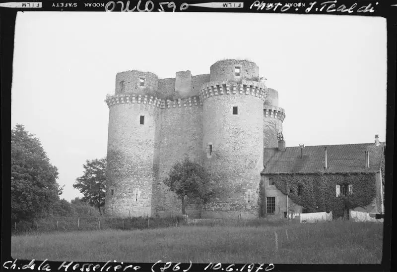 Foto di Castello di Messelière (i resti) - POP Plateforme Ouverte du Patrimoine / Base Mérimée - © Ministère de la Culture (France), Médiathèque du patrimoine et de la photographie, diffusion RMN-GP