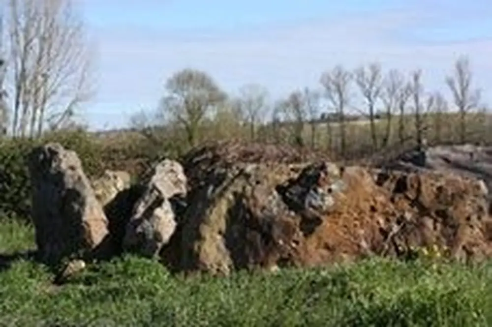 Picture of Dolmen says Pierre-de-Verre - POP Plateforme Ouverte du Patrimoine / Base Mérimée - © Ministère de la Culture (France), Direction Régionale des Affaires Culturelles de Nouvelle-Aquitaine – Tous droits réservés 