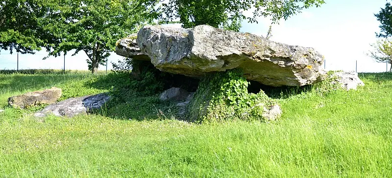 Picture of Dolmen - Liberliger - © Creative Commons (https://creativecommons.org/licenses/by-sa/4.0/deed.fr)