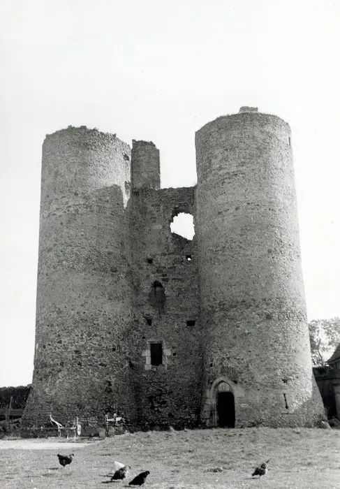Picture of Lenest (or Lenet) dungeon dungeon - POP Plateforme Ouverte du Patrimoine / Base Mérimée - © Ministère de la Culture (France), Médiathèque du patrimoine et de la photographie, tous droits réservés