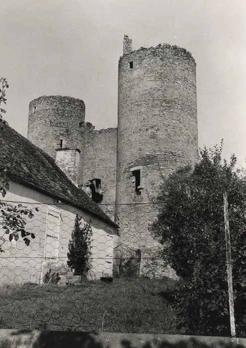 Foto di Lenest (o Lenet) Dungeon Dungeon - POP Plateforme Ouverte du Patrimoine / Base Mérimée - © Ministère de la Culture (France), Médiathèque du patrimoine et de la photographie, tous droits réservés