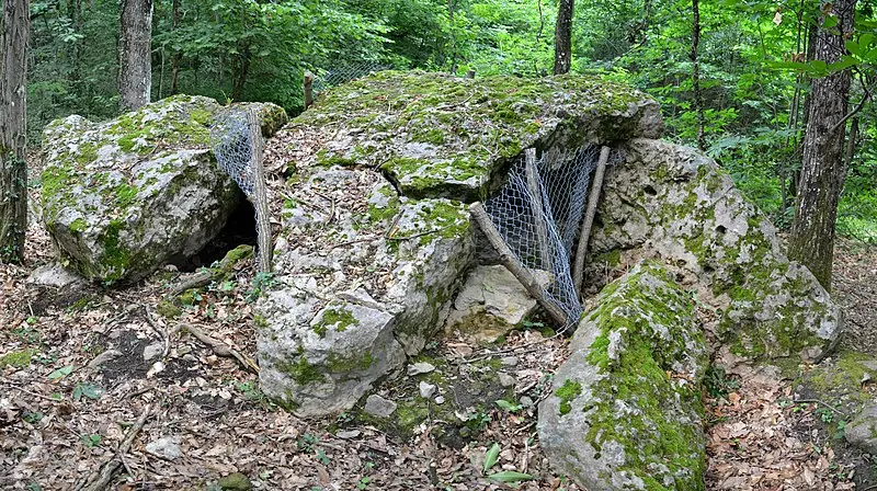 Picture of Dolmen - Liberliger - © Creative Commons (https://creativecommons.org/licenses/by-sa/4.0/deed.fr)