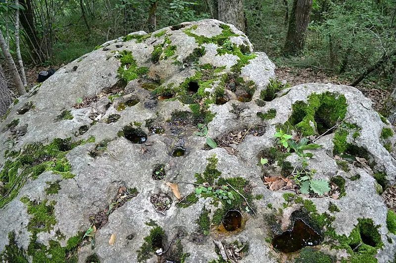 Picture of Dolmen - Liberliger - © Creative Commons (https://creativecommons.org/licenses/by-sa/4.0/deed.fr)